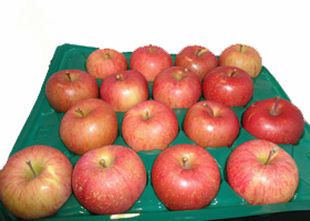 青森りんご家庭用の通販発送の画像：（通販）