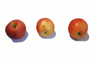 青森りんご家庭用の産直画像：（通販）