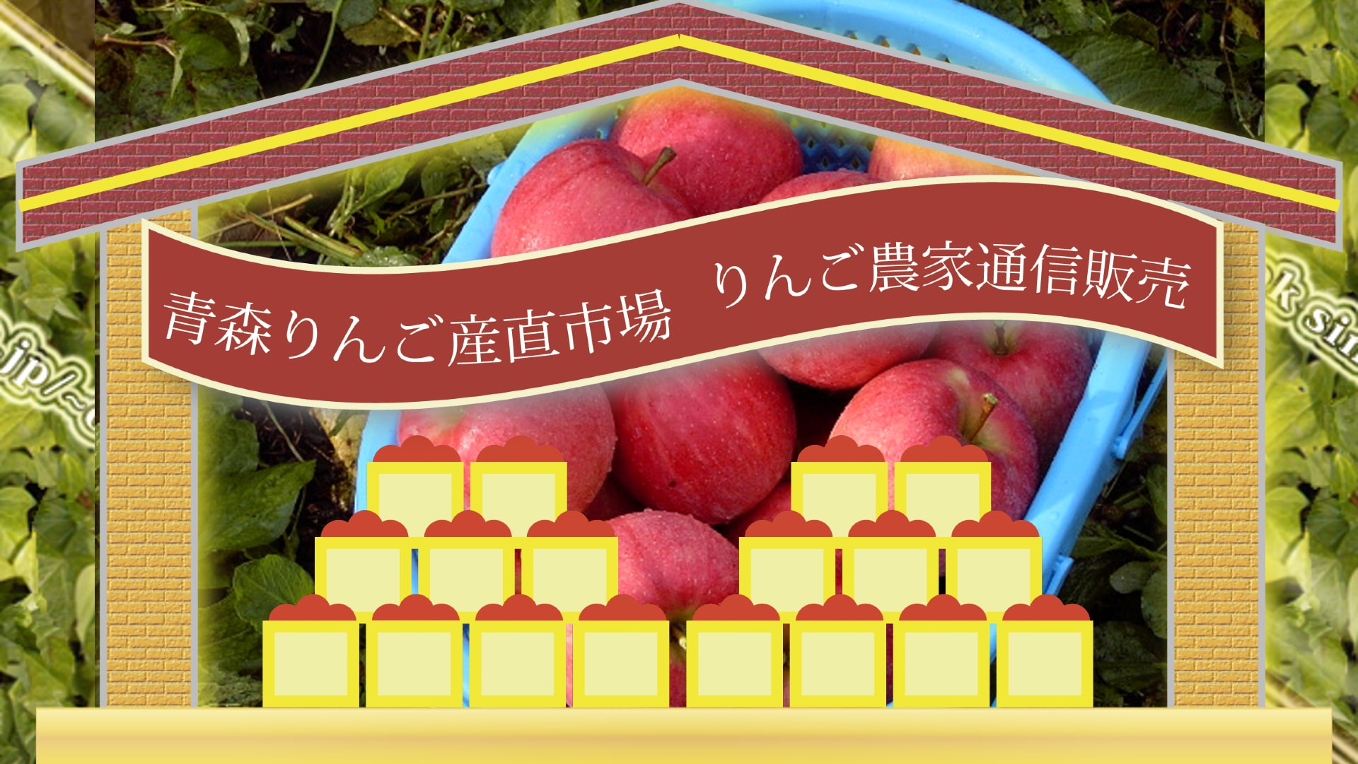 りんご通販サイト、大川りんご園市場