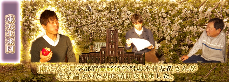 東大生が卒業論文のため、大川りんご園に来ていただきました。