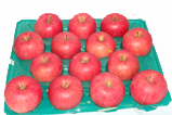 青森りんごの通販最高一級品画像：大川りんご園（通販）